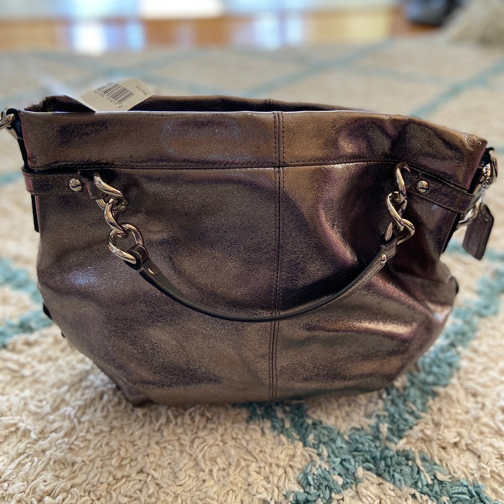 Coach Metallic Brooke Hobo - Never used with tags!
